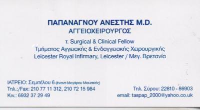 ΙΑΤΡΟΣ ΑΓΓΕΙΟΧΕΙΡΟΥΡΓΟΣ ΙΑΤΡΟΙ ΑΓΓΕΙΟΧΕΙΡΟΥΡΓΟΙ ΑΘΗΝΑ ΠΑΠΑΝΑΓΝΟΥ ΑΝΕΣΤΗΣ
