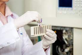 ΚΑΤΣΙΓΑΡΑΚΗ ΤΣΟΤΣΟΡΟΥ ΣΠΑΡΤΗ