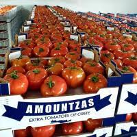 ΣΥΣΚΕΥΑΣΙΑ ΤΥΠΟΠΟΙΗΣΗ ΠΡΟΪΟΝΤΩΝ ΧΑΝΙΑ ΑΜΟΥΝΤΖΑΣ ΙΚΕ