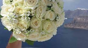 ΑΝΘΟΠΩΛΕΙΟ ΑΝΘΗ ΦΥΤΑ ARGYRO FLOWERS SHOP ΕΜΠΟΡΕΙΟ ΣΑΝΤΟΡΙΝΗ ΝΟΜΙΚΟΥ ΑΡΓΥΡΩ