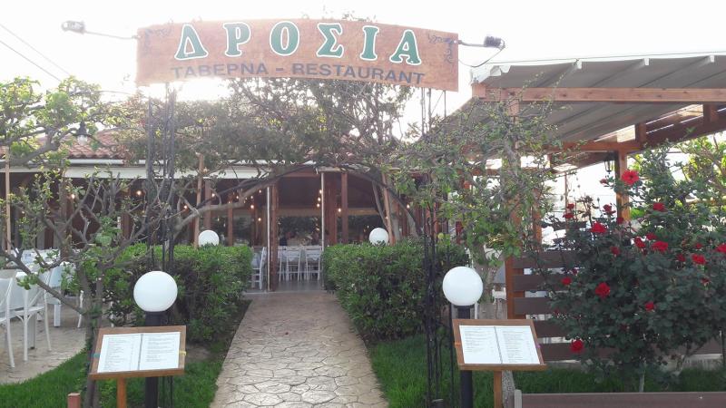 ΤΑΒΕΡΝΑ ΔΡΟΣΙΑ ΠΛΑΤΑΝΙΑΣ ΧΑΝΙΑ