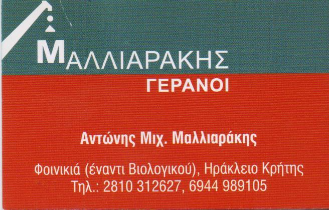 ΓΕΡΑΝΟΙ ΗΡΑΚΛΕΙΟ ΚΡΗΤΗΣ ΜΑΛΛΙΑΡΑΚΗΣ ΑΝΤΩΝΗΣ