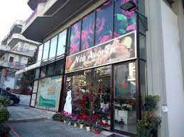 ΑΝΘΟΠΩΛΕΙΟ ΝΕΑ ΑΝΟΙΞΗ ΣΥΚΙΕΣ ΘΕΣΣΑΛΟΝΙΚΗ ΚΕΧΑΓΙΑΣ ΣΤΕΡΓΙΟΣ