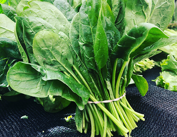 ΑΓΡΟΤΙΚΑ ΠΡΟΪΟΝΤΑ ΤΥΠΟΠΟΙΗΣΗ ΣΥΣΚΕΥΑΣΙΑ ΛΕΧΑΙΝΑ ΗΛΕΙΑ ΠΕΤΡΟΠΟΥΛΟΣ ΠΑΝΤΕΛΗΣ ΑΕ