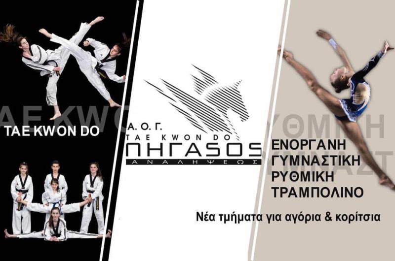 ΠΟΛΕΜΙΚΕΣ ΤΕΧΝΕΣ ΠΗΓΑΣΟΣ Α.Ο.Γ. ΑΝΑΛΗΨΕΩΣ ΑΝΑΛΗΨΗ ΘΕΣΣΑΛΟΝΙΚΗ