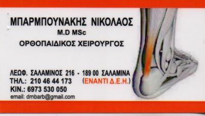 ΜΠΑΡΜΠΟΥΝΑΚΗΣ ΝΙΚΟΛΑΟΣ