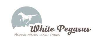 ΙΠΠΙΚΟΣ ΟΜΙΛΟΣ WHITE PEGASUS ΜΕΓΑΛΟ ΠΑΠΙΓΚΟ ΙΩΑΝΝΙΝΑ ΣΤΑΤΗΡΑΣ ΔΗΜΗΤΡΙΟΣ