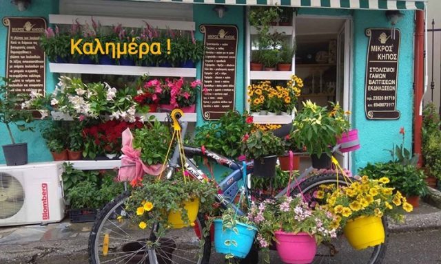 ΑΝΘΟΠΩΛΕΙΟ ΜΙΚΡΟΣ ΚΗΠΟΣ ΛΙΤΟΧΩΡΟ ΠΙΕΡΙΑ ΤΡΟΪΡΗ ΜΑΡΙΑ