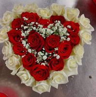 ΑΝΘΟΠΩΛΕΙΟ RENA FLOWERS ΚΑΜΑΤΕΡΟ ΑΤΤΙΚΗ ΑΝΤΩΝΙΟΥ Χ. ΚΑΙ ΣΙΑ ΕΕ