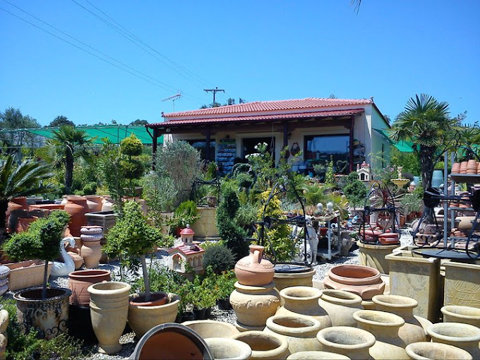 ΦΥΤΩΡΙΟ ΦΥΤΟΓΕΝΝΗΣΗ ΧΑΝΙΑ ΜΑΖΑΡΑΚΗΣ ΓΕΩΡΓΙΟΣ