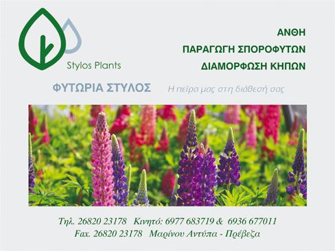 ΦΥΤΩΡΙΟ ΑΝΘΗ ΦΥΤΑ S-PLANTS ΠΡΕΒΕΖΑ ΣΤΥΛΟΣ ΔΗΜΗΤΡΙΟΣ