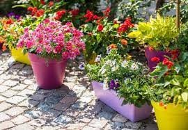 ΦΥΤΩΡΙΟ ΘΕΣΣΑΛΟΝΙΚΗ ΚΟΤΣΙ ΧΡΗΣΤΟΣ