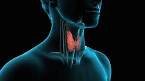 ΕΝΔΟΚΡΙΝΟΛΟΓΟΣ ΔΙΑΒΗΤΟΛΟΓΟΣ ΚΑΡΔΙΤΣΑ ΜΠΑΚΑΛΑΚΟΣ ΧΑΡΑΛΑΜΠΟΣ