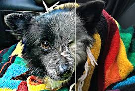 PHOTO DIGITAL ARTY  ΦΩΤΟΓΡΑΦΕΙΟ ΦΩΤΟΓΡΑΦΙΚΟ ΕΡΓΑΣΤΗΡΙΟ ΦΩΤΟΓΡΑΦΟΣ ΚΩΣ ΔΩΔΕΚΑΝΝΗΣΑ ΠΟΛΥΧΡΟΝΙΑΔΗΣ