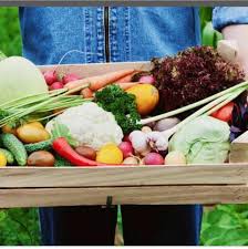 ΓΕΩΠΟΝΟΣ ΓΕΩΡΓΙΚΑ ΦΑΡΜΑΚΑ ΑΡΓΟΣ ΜΑΡΙΝΑΚΗΣ ΣΤΕΦΑΝΟΣ