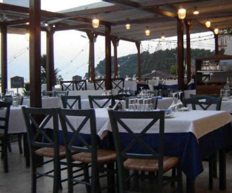 ΨΑΡΟΤΑΒΕΡΝΑ ΔΙΑΜΑΝΤΗΣ ΣΙΒΗΡΗ ΚΑΣΣΑΝΔΡΕΙΑ ΧΑΛΚΙΔΙΚΗ