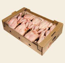 ΠΤΗΝΟΠΩΛΕΙΟ ΠΤΗΝΟΤΡΟΦΕΙΟ ΑΥΓΑ ΠΟΥΛΕΡΙΚΑ ΤΡΙΚΑΛΑ ΜΠΑΛΩΜΕΝΟΣ ΑΛΕΞΑΝΔΡΟΣ