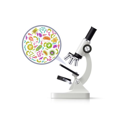 ΜΙΚΡΟΒΙΟΛΟΓΟΣ ΒΙΟΠΑΘΟΛΟΓΟΣ ΤΡΙΠΟΛΗ ΑΡΚΑΔΙΑ ΣΠΥΡΟΠΟΥΛΟΣ ΝΙΚΟΛΑΟΣ