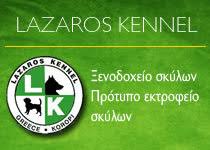 ΕΚΤΡΟΦΕΙΟ ΣΚΥΛΩΝ ΠΑΝΣΙΟΝ LAZAROS KENNEL ΚΟΡΩΠΙ ATTIKH ΚΑΣΣΑΠΙΑΝ ΛΑΖΑΡΟΣ