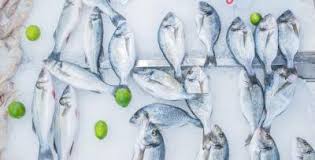 ΙΧΘΥΟΠΩΛΕΙΟ ΜΑΡΚΟΠΟΥΛΟ ΑΤΤΙΚΗ ΦΩΤΙΑΔΟΥ ΔΗΜΗΤΡΑ