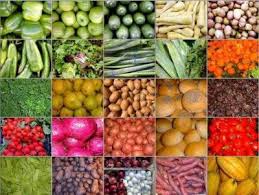 ΕΜΠΟΡΙΟ ΑΓΡΟΤΙΚΩΝ ΠΡΟΪΟΝΤΩΝ ΑΓΡΟΤΙΚΑ ΠΡΟΪΟΝΤΑ ΑΡΓΟΣ ΟΡΕΣΤΙΚΟ ΚΑΣΤΟΡΙΑ ΜΠΑΤΖΙΟΣ ΔΗΜΗΤΡΙΟΣ