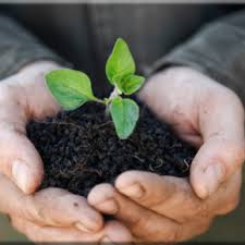 ΑΓΡΟΤΙΚΑ ΠΡΟΪΟΝΤΑ ΓΕΩΠΟΝΟΣ ΓΕΩΡΓΙΚΑ ΦΑΡΜΑΚΑ ΤΑ ΓΕΩΠΟΝΙΚΑ ΛΑΡΙΣΑ ΜΟΣΧΟΒΙΔΗ ΓΕΩΡΓΙΑ