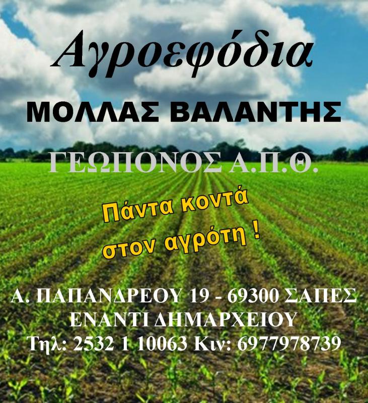 ΕΜΠΟΡΙΟ ΓΕΩΡΓΙΚΩΝ ΕΙΔΩΝ ΓΕΩΡΓΙΚΑ ΠΡΟΪΟΝΤΑ ΣΑΠΕΣ ΡΟΔΟΠΗ ΜΟΛΛΑΣ ΧΡΥΣΟΒΑΛΑΝΤΗΣ