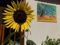 ΕΝΟΙΚΙΑΖΟΜΕΝΑ ΔΩΜΑΤΙΑ ROOMS TO LET OASIS ΡΟΥΣΟΥΜ ΓΙΑΛΟΣ ΑΛΟΝΝΗΣΟΣ ΜΑΓΝΗΣΙΑ