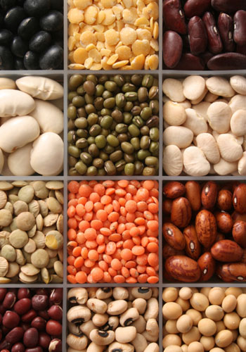 ΕΜΠΟΡΙΟ ΟΣΠΡΙΩΝ ΤΡΟΦΙΜΩΝ ΟΣΠΡΙΑ ΚΟΡΥΔΑΛΛΟΣ ΑΤΤΙΚΗ ΑΝΔΡΙΑΝΟΥ ΑΝΝΑ