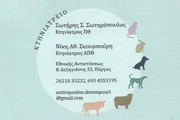 ΚΤΗΝΙΑΤΡΟΣ ΠΥΡΓΟΣ ΗΛΕΙΑ ΣΩΤΗΡΟΠΟΥΛΟΣ ΣΩΤΗΡΙΟΣ