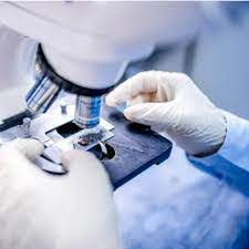 ΜΙΚΡΟΒΙΟΛΟΓΟΣ ΒΙΟΠΑΘΟΛΟΓΟΣ ΣΕΡΒΙΑ ΚΟΖΑΝΗ ΤΣΙΑΒΗ ΠΟΛΥΞΕΝΗ