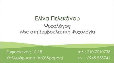 ΨΥΧΟΛΟΓΟΙ ΨΥΧΟΛΟΓΟΣ ΣΤΗΝ ΣΥΜΒΟΥΛΕΥΤΙΚΗ ΨΥΧΟΛΟΓΙΑ ΠΑΓΚΡΑΤΙ ΑΘΗΝΑ ΠΕΛΕΚΑΝΟΥ ΕΛΙΝΑ 