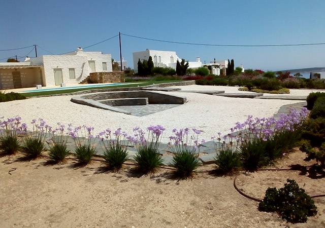 ΚΑΤΑΣΚΕΥΗ ΣΥΝΤΗΡΗΣΗ ΚΗΠΩΝ ΠΟΥΝΤΑ ΠΑΡΟΣ ΝΤΑΛΛΑΣ ΒΑΣΙΛΕΙΟΣ