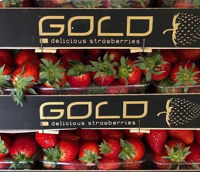 ΟΠΩΡΟΚΗΠΕΥΤΙΚΑ ΦΡΟΥΤΑ ΛΑΧΑΝΙΚΑ GOLD FRUIT IMPORT EXPORT ΜΟΝ ΙΚΕ ΜΠΟΝΤΕΪΚΑ ΑΧΑΪΑ