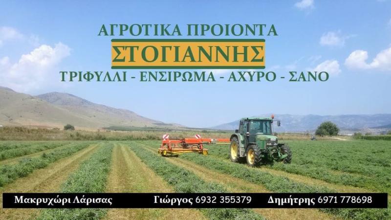 ΖΩΟΤΡΟΦΕΣ ΜΑΚΡΥΧΩΡΙ ΛΑΡΙΣΑ ΣΤΟΓΙΑΝΝΗΣ ΔΗΜΗΤΡΙΟΣ
