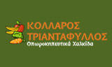 ΧΟΝΔΡΙΚΟ ΕΜΠΟΡΙΟ ΦΡΟΥΤΩΝ ΛΑΧΑΝΙΚΩΝ ΔΙΑΝΟΜΗ ΧΑΛΚΙΔΑ ΕΥΒΟΙΑ ΚΟΛΛΑΡΟΣ ΤΡΙΑΝΤΑΦΥΛΛΟΣ