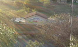 ΣΟΥΠΕΡ ΜΑΡΚΕΤ ΚΕΦΑΛΟΒΡΥΣΟ ΚΕΡΚΥΡΑ ΜΟΣΧΟΣ ΛΕΩΝΙΔΑΣ