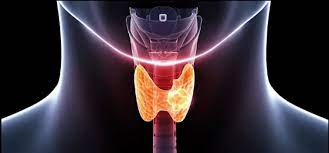 ΕΝΔΟΚΡΙΝΟΛΟΓΟΣ ΣΠΑΡΤΗ ΛΑΚΩΝΙΑ ΧΕΛΙΩΤΗ ΙΩΑΝΝΑ