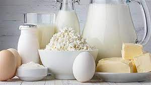 ΓΑΛΑΚΤΟΚΟΜΙΚΑ ΠΡΟΪΟΝΤΑ ΤΥΡΟΚΟΜΙΚΑ ΖΕΡΒΟΧΩΡΙΑ ΡΙΖΑ ΠΟΛΥΓΥΡΟΣ ΧΑΛΚΙΔΙΚΗ ΚΩΝΣΤΑ ΦΩΤΕΙΝΗ