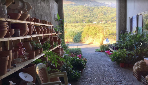 ΦΥΤΩΡΙΟ ΓΕΩΡΓΙΚΑ ΕΙΔΗ ΒΟΥΛΙΣΜΕΝΗ ΝΕΑΠΟΛΗ ΛΑΣΙΘΙ ΨΑΛΙΔΑΚΗΣ ΕΕ