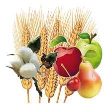 ΕΜΠΟΡΙΟ ΓΕΩΡΓΙΚΩΝ ΕΦΟΔΙΩΝ ΑΓΙΑ ΛΑΡΙΣΑ ΓΕΡΟΦΩΤΗΣ Χ.-ΜΠΑΛΟΔΗΜΟΣ Ν. ΙΚΕ